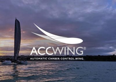 ACCWing